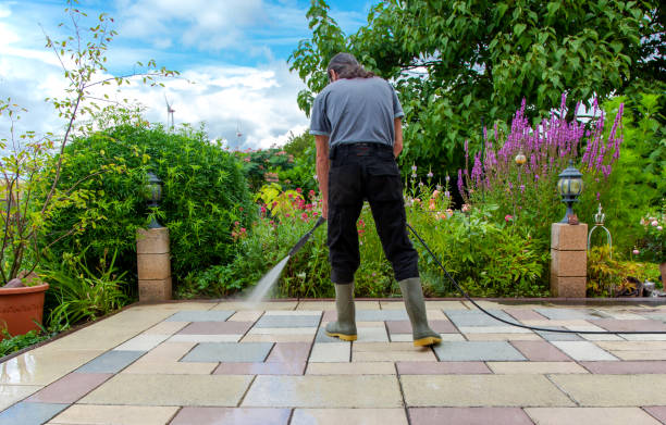 Best Fence Cleaning and Maintenance in Eddystone, PA